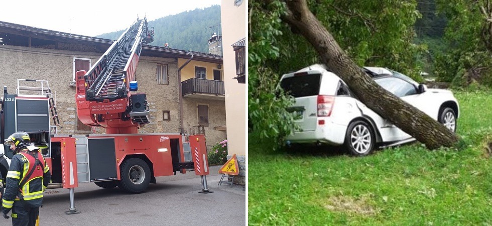 Maltempo, le raffiche di vento abbattono un albero che distrugge un’auto